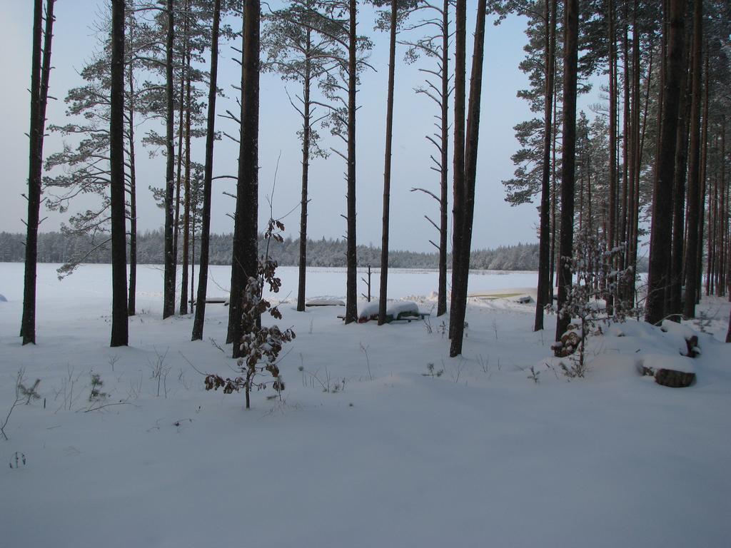 Villa Haudamaee Puhkemaja Meelva Exterior foto