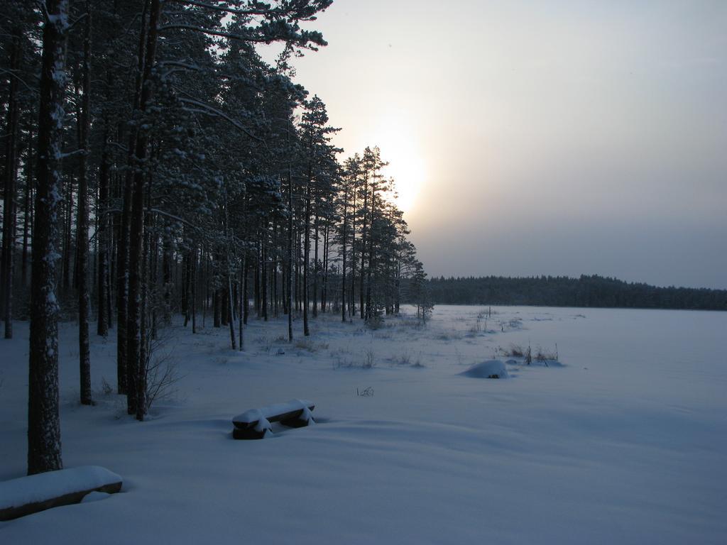 Villa Haudamaee Puhkemaja Meelva Exterior foto